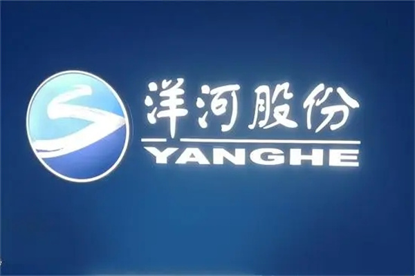 2025年洋河股份历年年报/社会责任报告合集（共27套打包）