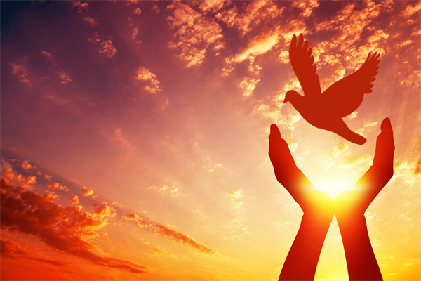 2025年公益/慈善/资助报告合集（共50套打包）