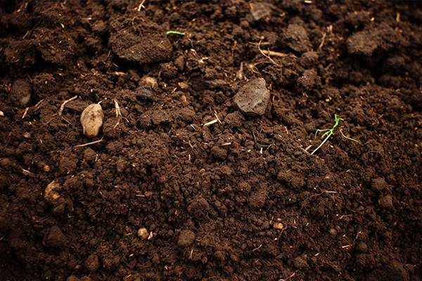 2025年土地改革/土改报告合集（共18套打包）