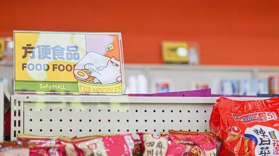 2025年方便食品报告合集（共19套打包）