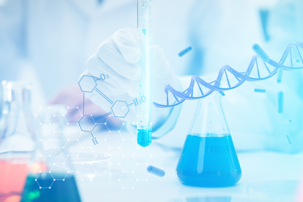 2026年六氟磷酸锂报告合集（共10套打包）