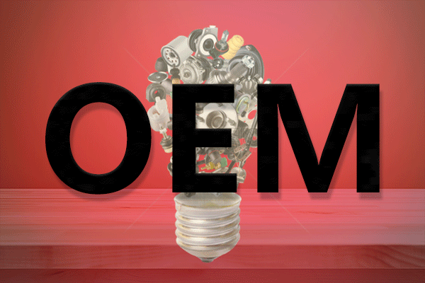 2025年OEM原始设备制造商报告合集（共16套打包）