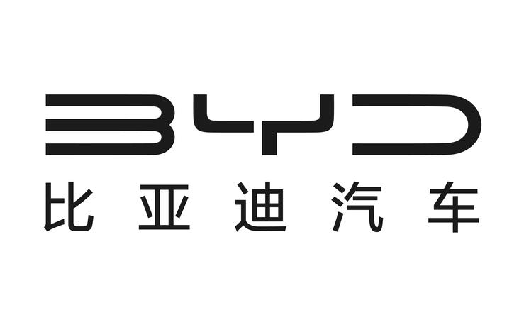 2025年比亚迪报告合集（共35套打包）