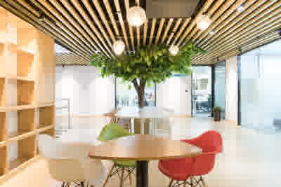 2025年休闲行业报告合集（共50套打包）