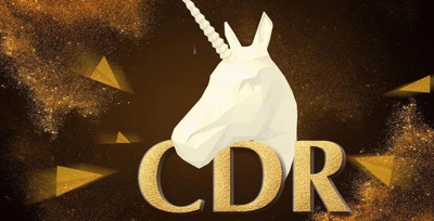 2025年独角兽CDR报告合集
