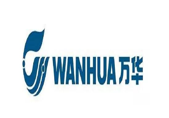 2025年万华化学报告合集（共51套打包）