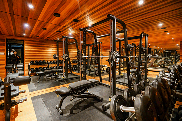 2025年健身房/健身器材报告合集（共18套打包）