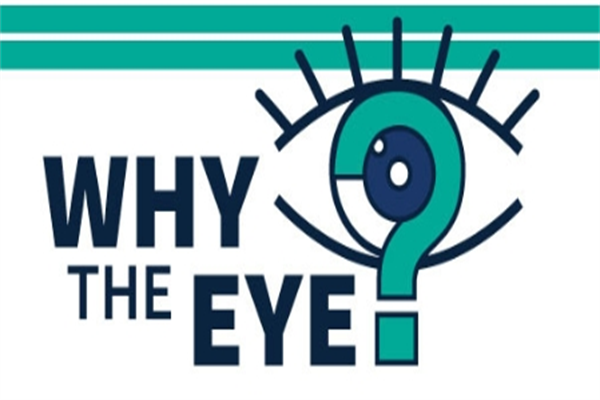 2023年聚焦眼健康峰会嘉宾演讲PPT合集（共6套打包）