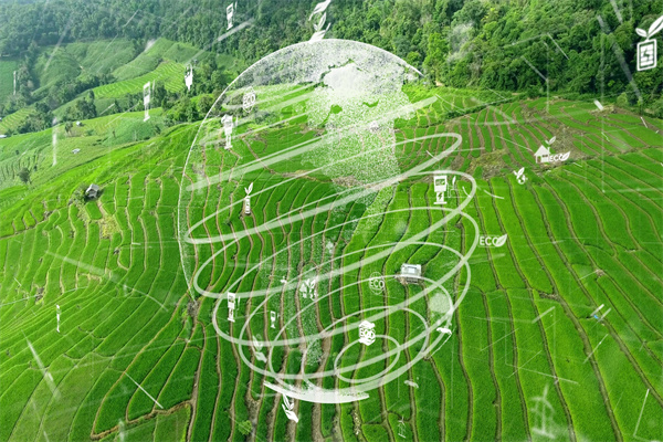 2025年温室气体/温室效应报告合集（共33套打包）