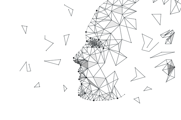 2026年人脸识别/面部识别/虹膜识别报告合集（共26套打包）