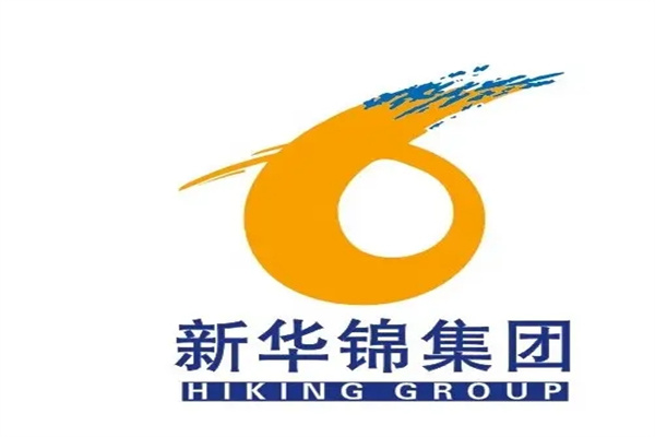 2025年新华锦历年年度报告合集（共6套打包）