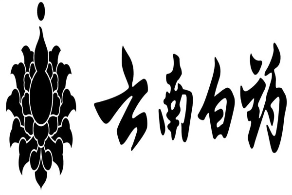 2025年云南白药历年年报/社会责任报告合集（共12套打包）