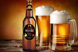 啤酒行业的前景_三个皮匠报告_专业券商研报下载平台