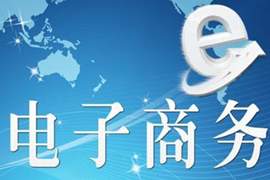 电子商务行业分析专题，电子商务行业报告下载