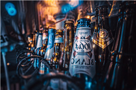 啤酒行业的现状_三个皮匠报告_专业券商研报下载平台