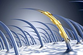 植发行业怎么样，雍禾医疗招股说明书下载