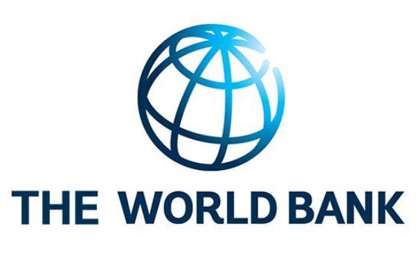 世界银行报告专题，世界银行报告下载