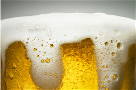 啤酒行业发展前景_三个皮匠报告_专业券商研报下载平台