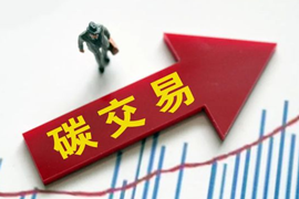 碳交易市场专题，碳交易市场报告下载