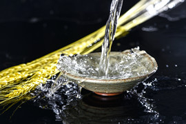 白酒行业调查分析报告_【三个皮匠报告】专业报告下载平台