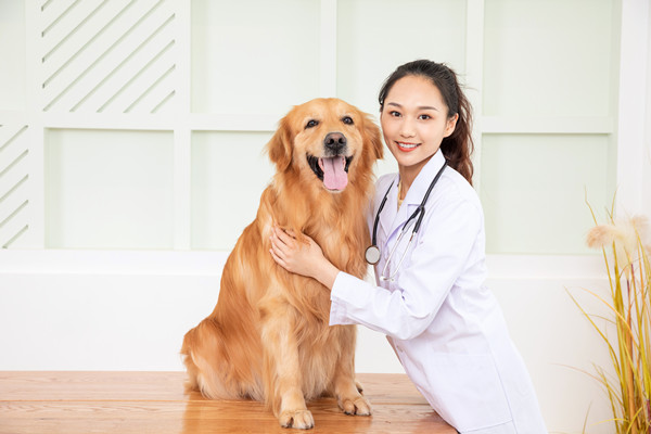 宠物用药的类型有哪些？宠物药竞争格局及龙头企业一览