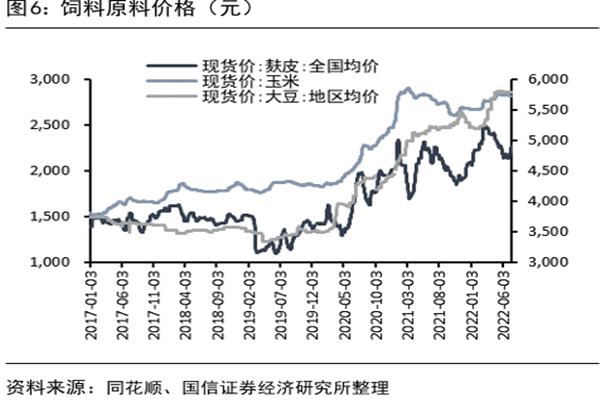 什么是饲料原料？储存存在的问题及存放的方法一览