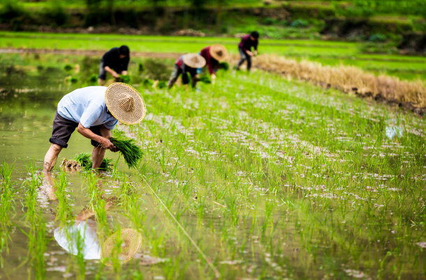 什么是精准农业？和生态农业的区别是？技术、作用与产业链梳理