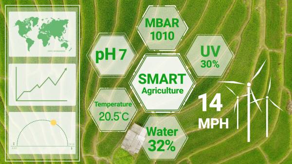 互联网农业指什么？模式有哪些？