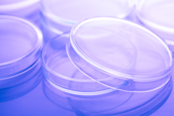 什么是培养基？种类有哪些？