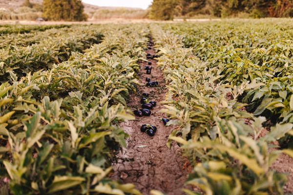土地二级市场是什么？和一级市场的区别有哪些？