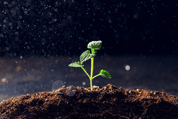 ccer碳交易是什么？概念股一览