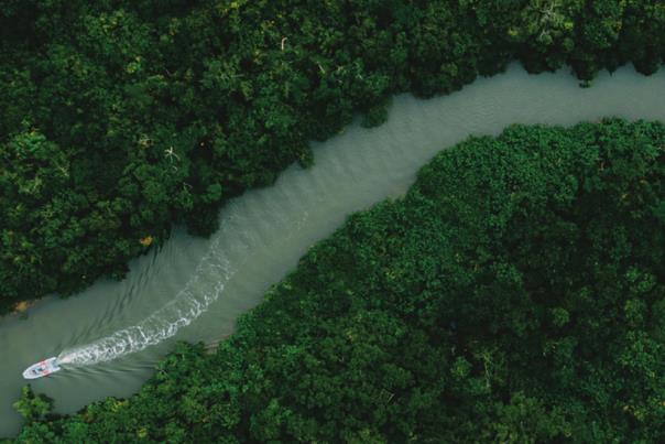 IFC：新兴市场绿色债券发展情况如何？2020年全球发行2800亿美元