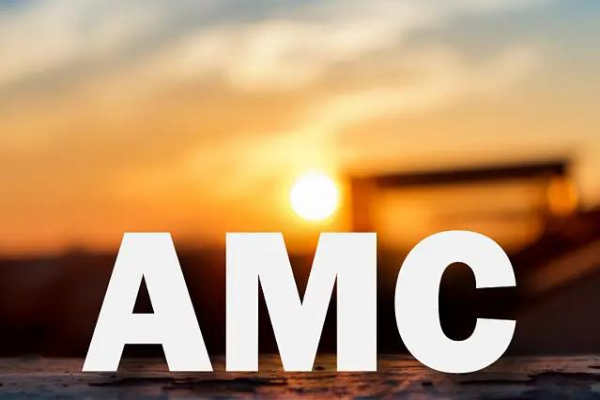 金融资产管理公司（AMC）