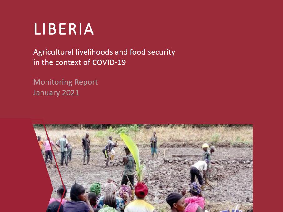 联合国粮农组织：疫情对利比里亚农业生产和粮食作物产生哪些影响？