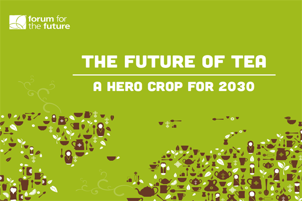 Forum for the Future：茶叶2030-全球茶叶产业展望报告-迈向茶业可持续发展的未来(pdf版)