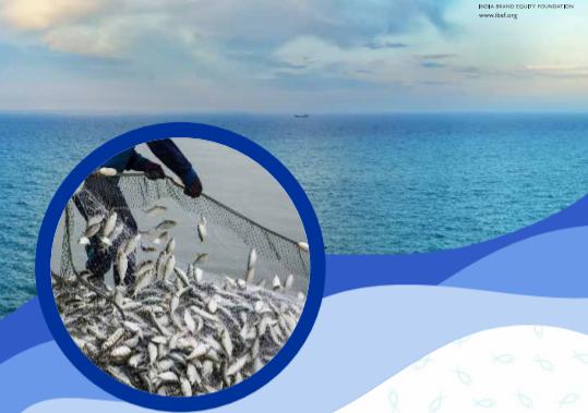 IBEF：全球水产养殖现状如何？2021年印度水产养殖业发展趋势报告