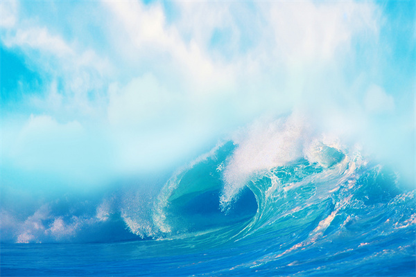 什么是蓝色碳汇？价值体现在哪些方面？