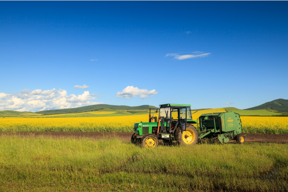 物联网在农业中的应用有哪些？农业物联网应用场景、关键技术介绍