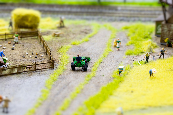 什么是家庭农场？有哪些类型？