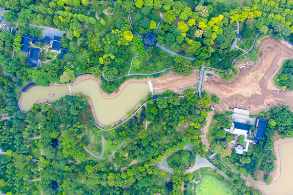 新型垂直绿化技术的关键在于什么？面临的问题有哪些？