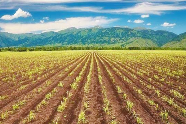 种业政策，近年来种业战略性部署政策梳理(2016-2021年)