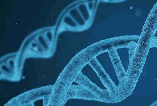 合成生物学的工具有哪些？细胞工厂构建技术、无细胞合成技术介绍