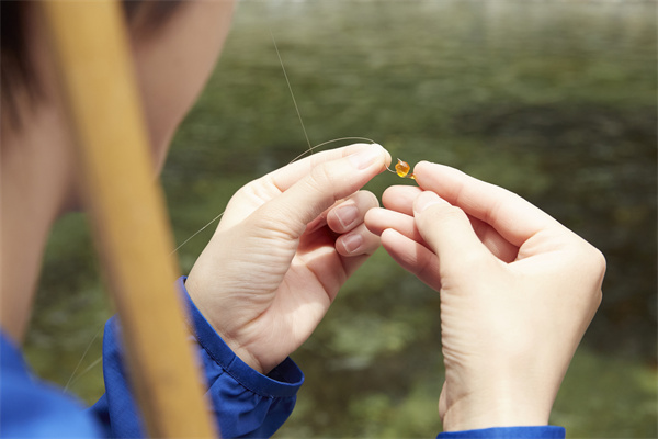 鱼饲料上市公司有哪些？国内鱼饵料上市公司梳理