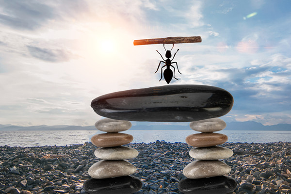 什么是企业社会责任？包括哪些？责任测量方法一览