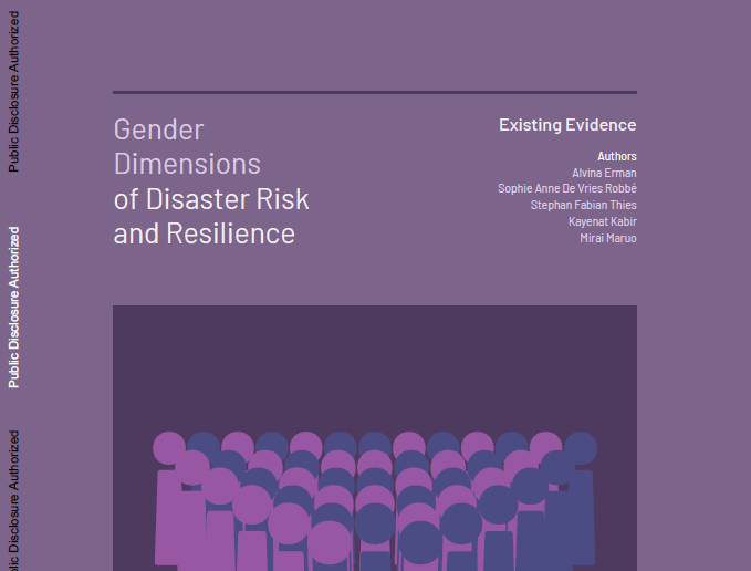 世界银行集团：灾害风险和复原力的非线性框架