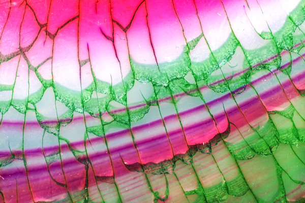 什么是伴生矿产？煤系共伴生矿产资源有哪些？