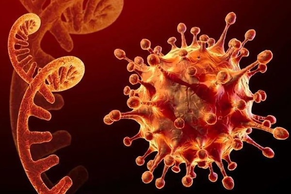 奥密克戎是什么？危害有多大？如何应对？(卫健委权威解答)