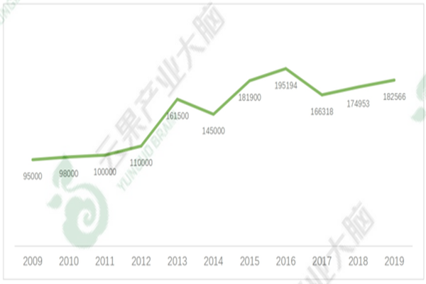 中国猕猴桃种植面积、供需情况、产量、进出口量分析