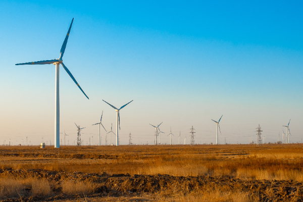 什么是负碳经济？负碳经济如何实现