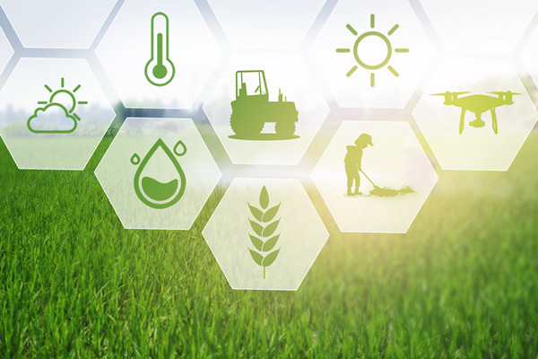 什么是大数据技术？特点是？在农业中的应用分析